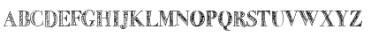 LittleBird Medium Font LittleBird Medium Font