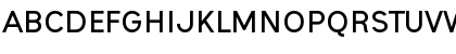 Ogonek Bold Font Ogonek Bold Font