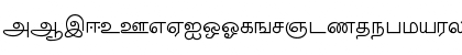 TM-TTValluvar Normal Font