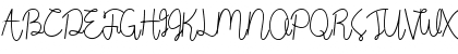 Wild Flower Bold Font Wild Flower Bold Font