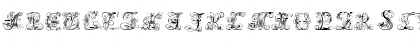Andrade Swash Font Andrade Swash Font