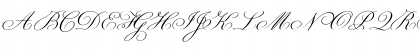 Champignon Regular Font Champignon Regular Font