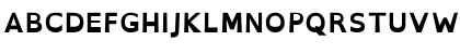 OpenDyslexicAlta Bold Font OpenDyslexicAlta Bold Font