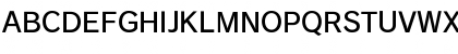 FOT-Rodin Pro DB Font
