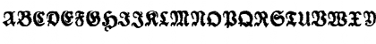 Schneidler Halb Fette Trash Regular Font