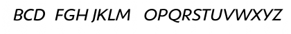 ShinnBookItalic Regular Font ShinnBookItalic Regular Font