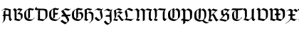 TypographerGotisch D Regular Font
