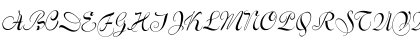 VarianteInitials Regular Font VarianteInitials Regular Font