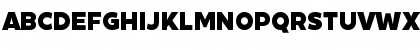 XXII Geom DEMO Black Font
