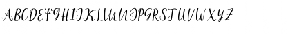 amira script Regular Font amira script Regular Font