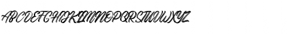 Gorgeous Script Typeface Font Gorgeous Script Typeface Font