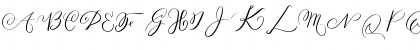 MONOGRAM E Regular Font MONOGRAM E Regular Font
