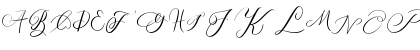 MONOGRAM J Regular Font MONOGRAM J Regular Font