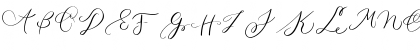 MONOGRAM P Regular Font