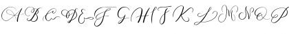 MONOGRAM V Regular Font MONOGRAM V Regular Font