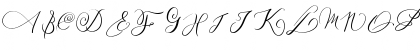 MONOGRAM Y Regular Font