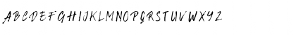 Polarika Regular Font Polarika Regular Font