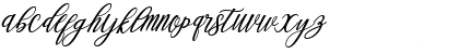 Steady Regular Font Steady Regular Font