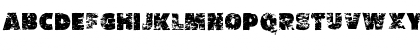 Vtks HyperBoldi Regular Font Vtks HyperBoldi Regular Font
