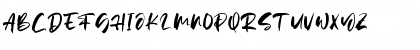 Wintersoul Regular Font Wintersoul Regular Font