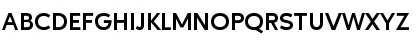 Ageo Personal Use Bold Font Ageo Personal Use Bold Font