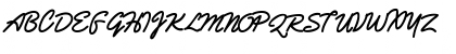 Aljameela Regular Font Aljameela Regular Font