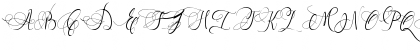 Andora Regular Font