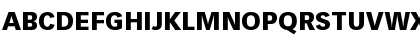 Vectora LT Roman Bold Font