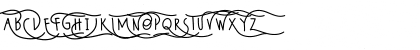 Wildy Sans Regular Font