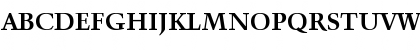 Activa-Bold Regular Font