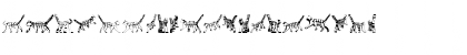 Cat 3D Regular Font