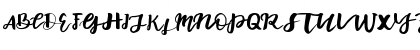endorse Regular Font endorse Regular Font