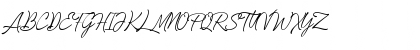 Loyalty Script Demo Regular Font Loyalty Script Demo Regular Font