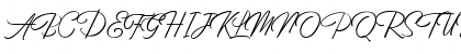 Birmingham Script DEMO Regular Font Birmingham Script DEMO Regular Font