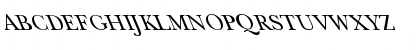 New Baskerville-Light Leftie Regular Font New Baskerville-Light Leftie Regular Font