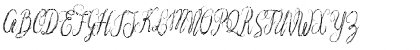 Nostar Script Regular Font Nostar Script Regular Font