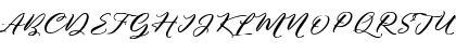 Puniko Rough Regular Font