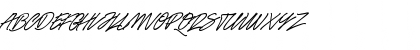 Race Fever Pen PERSONAL Regular Font