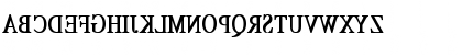 RSTimesMirror Cn bold Bold Font