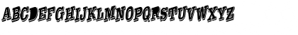 Taylor Reverse Italic Italic Font