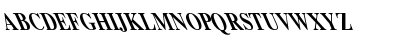 Times-Bold Cn Extreme Lefti Regular Font Times-Bold Cn Extreme Lefti Regular Font