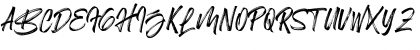 Birdrockers Regular Font Birdrockers Regular Font