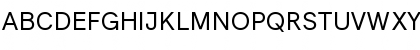 Literal Regular Font