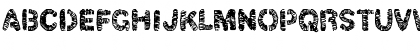 christelLine black Regular Font christelLine black Regular Font