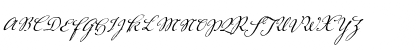 Voluta Script R駵lar Regular Font