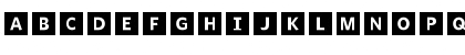 WhitneyIndexBlack Medium Font WhitneyIndexBlack Medium Font