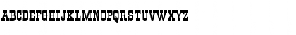 All Night 14 Regular Font All Night 14 Regular Font