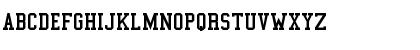 New Regular Font New Regular Font