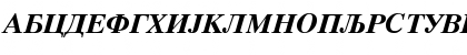 CTimes Bold-Italic Regular Font CTimes Bold-Italic Regular Font