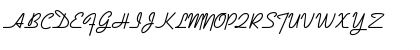 Book Leader Regular Font Book Leader Regular Font